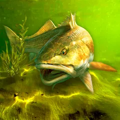 دانلود بازی “My Fishing World – Realistic fishing” برای اندروید – نسخه 1.16.28 (مود + اصلی)